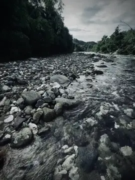 anh lam duoc...#chill #buon_tam_trang #cảnhđẹpthiênnhiên #xh #suy 