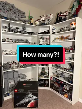 How many?!  #lego #starwars #harrypotter #fyp #legocollector 