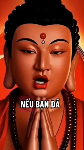 #niem phat moi ngày #nam mo bon su thich ca mau ni phat #duc phat tu bi #phat phap nhiem mau#nam mo a di da phat 