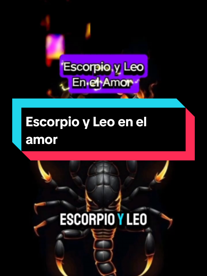 🦂🦁Escorpio y Leo en el amor 🦁♌ #fyp #zodiac #escorpio #leo #amor 