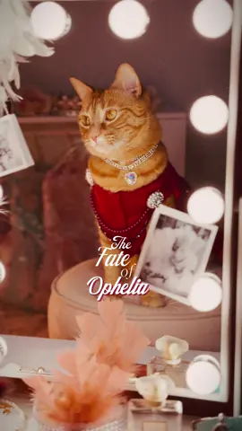 Keep it 💯 Our tribute to the new @Taylor Swift music video The Fate of Ophelia ❤️‍🔥 #taylorswift #cat 