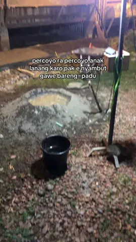 berpendapat=keminter🗿🤣#promoseruweekend #mutiaraf4rm #peternakmuda #anaklanang #kandangkambing #fyp #xybca 