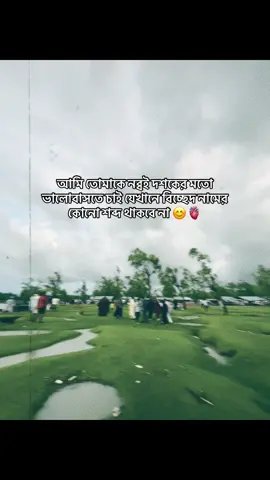 আমি তোমাকে নব্বই দশকের মতো ভালোবাসতে চাই যেখানে বিচ্ছেদ নামের কোনো শব্দ থাকবে না 😊🫀#newidpleasesupport😊 #foryou #foryoupage #captions #mantion_your_love♥️🌍🔐 #sitakundu_maya #bangladesh🇧🇩 