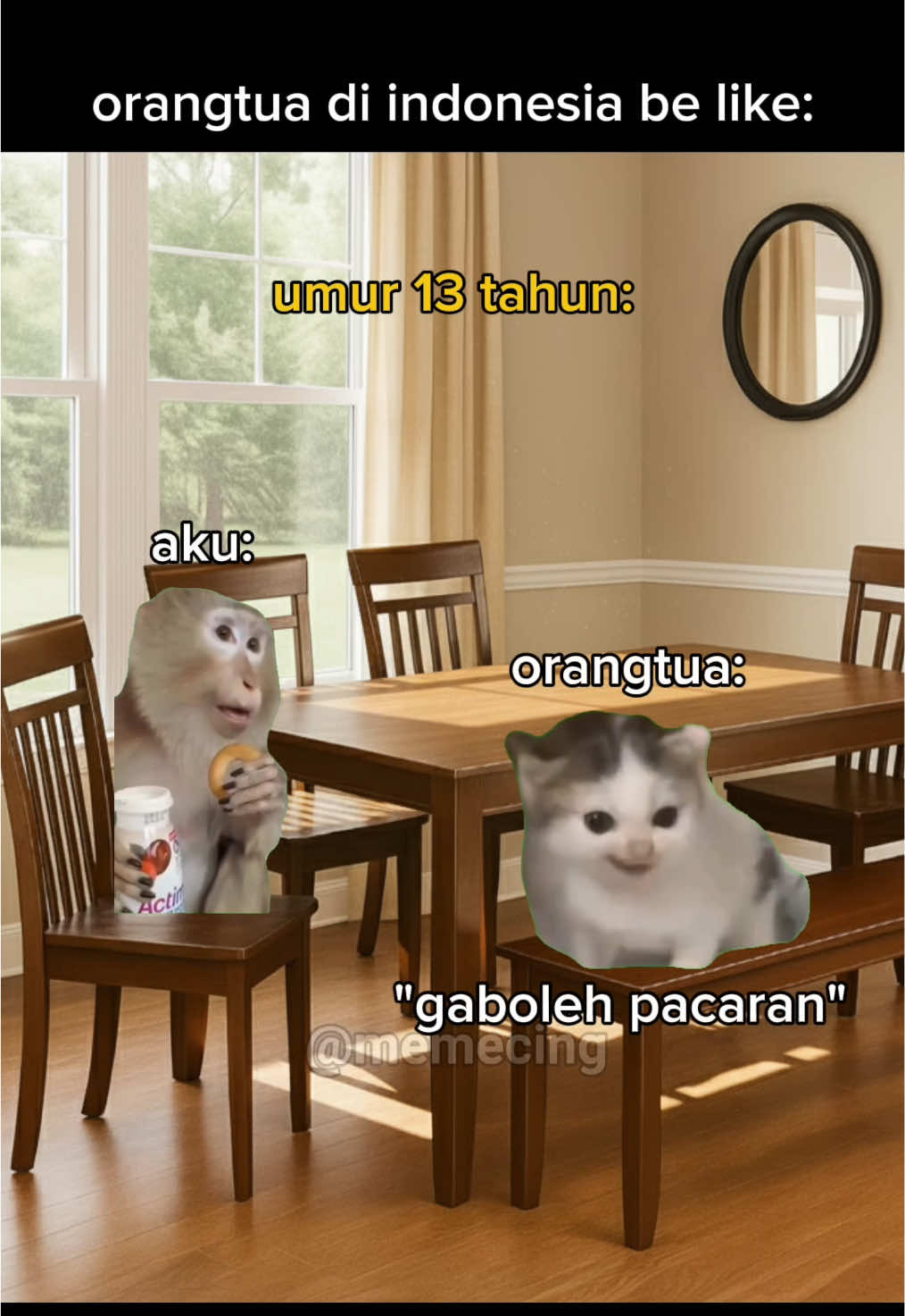 orang tua siapa nih #meme #memekucing #kucinglucu #catmemes #fyp 