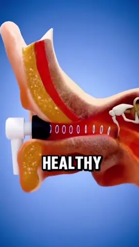 are your ears healthy?? song: unicorn on k & opgekonkerd - new shit🌈