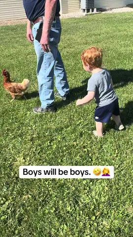 I love him. 🤣 #toddlersoftiktok #fyp #chickensoftiktok #boymom #wildchild 