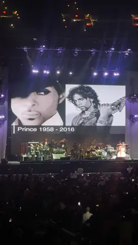 Say you love MJ without saying you love MJ😭❤️ #michaeljackson #foryoupage 