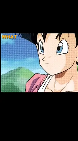 #dragonballz #videl #DBZ #gohan 