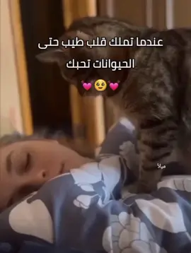 🥹♥️. #foryou #viral #fyp  #فولو_اكسبلور 