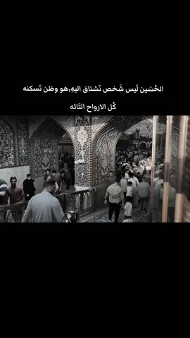 منو يعرف معنه الحركه الي سواه السيد؟؟ #لايك #اكسبلور #كربلاء#مرقد_الامام_الحسين #مشاهير