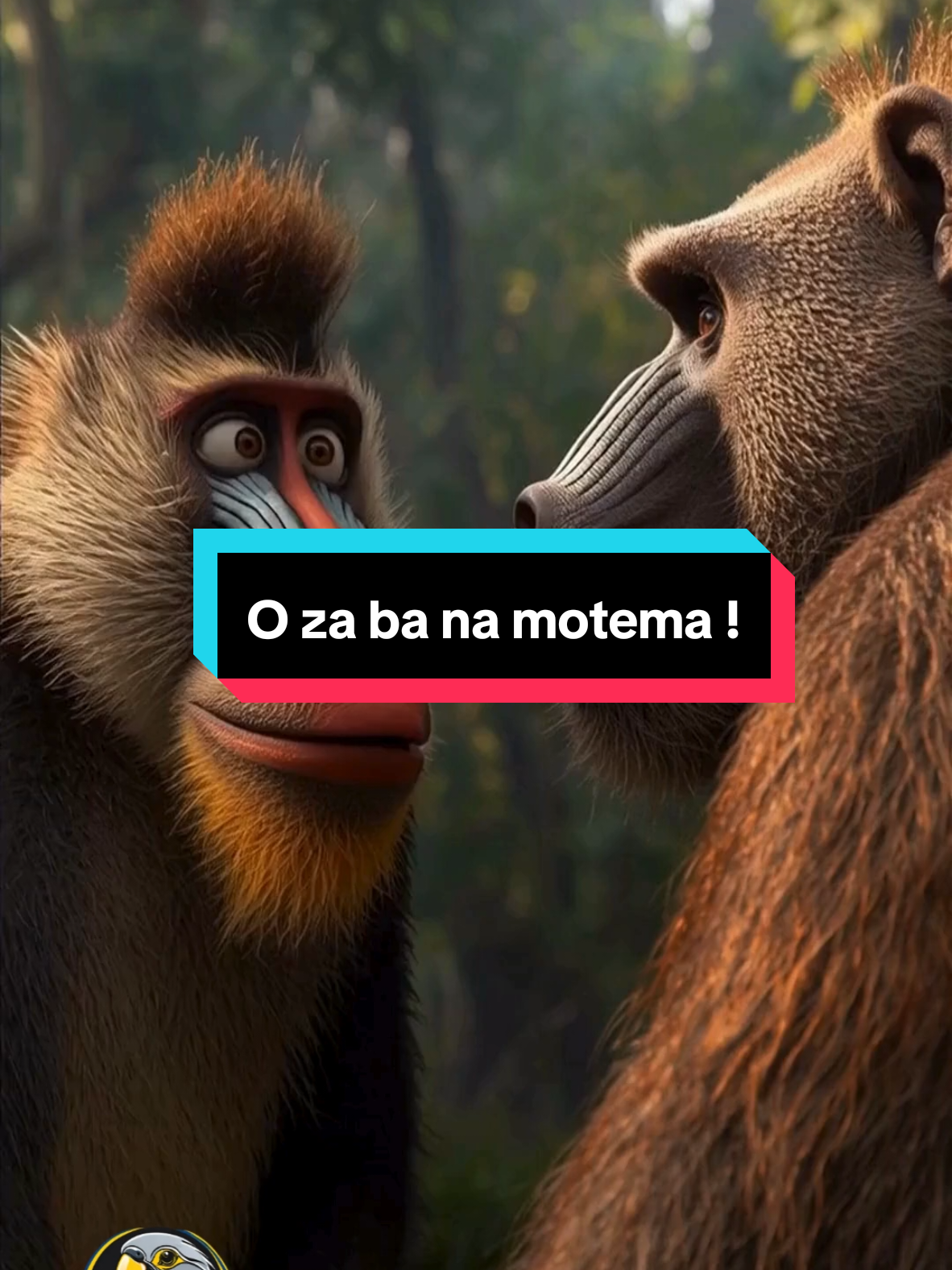 De quoi parle le texte ? Qui trouve : sort !🤣 #ezango #transmissionLangues