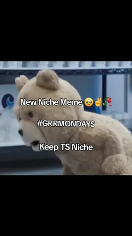HASHTAG GRRMONDAYS #meme #funny #fyp 