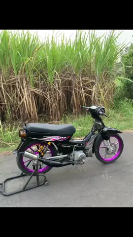 #alfaagstyle #kentungv2 #twostroke #agstyle #2tak 