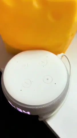 #temu #tiktokshop #shein #alexa echo was not able to tell me anything at all about what happens in the future when Tiktok cuts off from the rest of the world.  When we have our own United States Tiktok, what happens to Tiktok shop?  Alexa does not know.