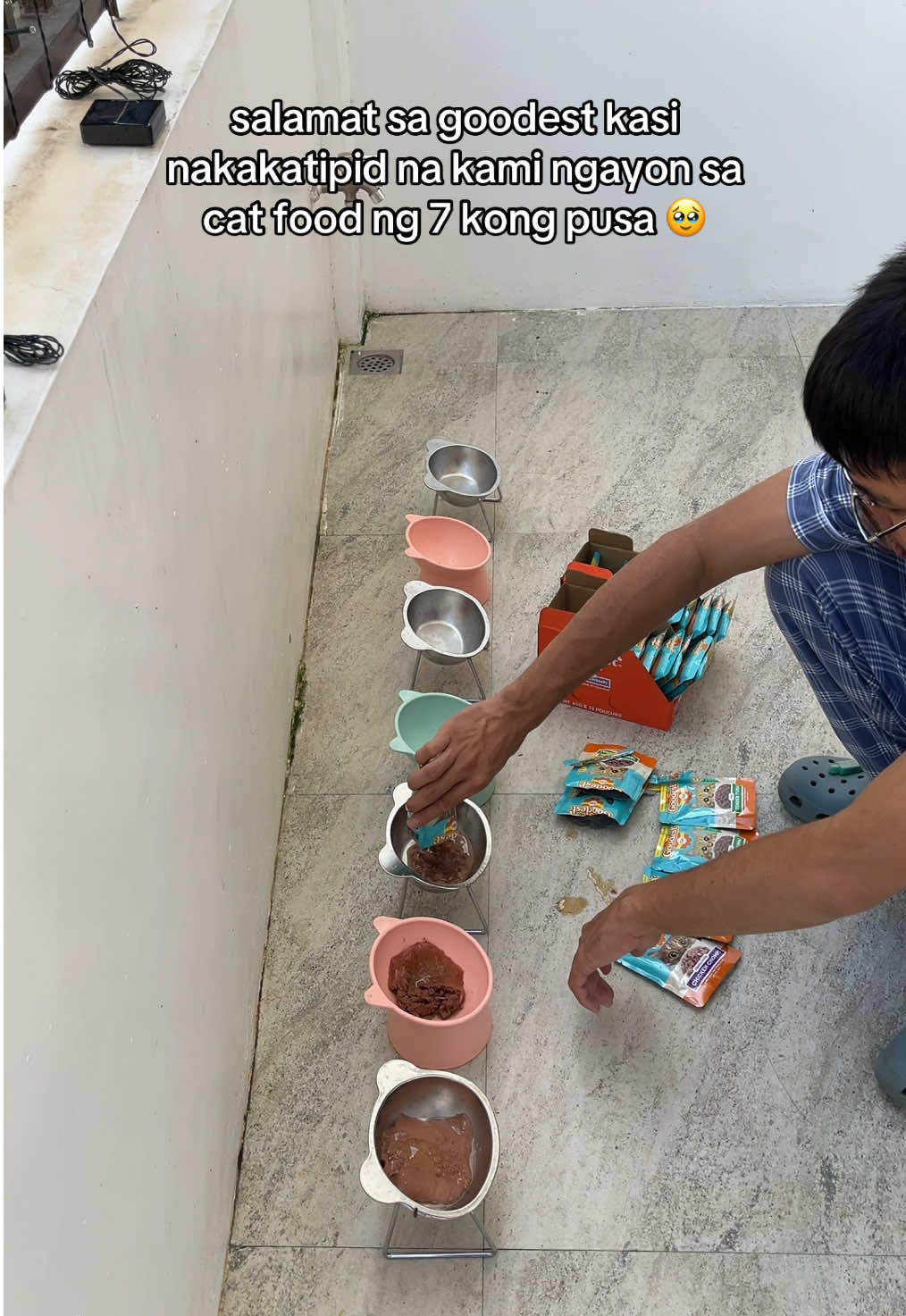 salamat may affordable na din na cat wet food #catfood #goodestcat #goodest #goodestcatfood 