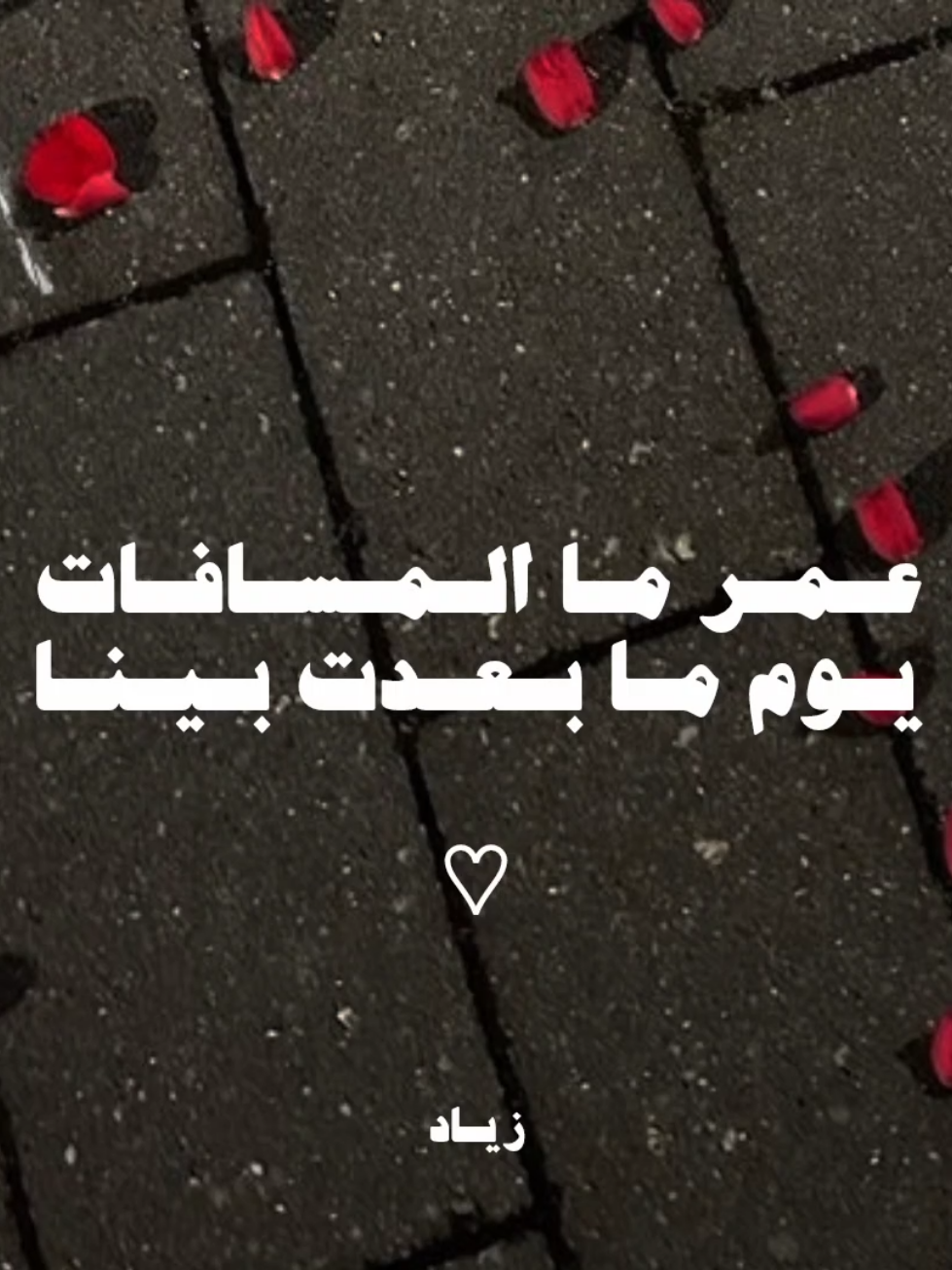 دورت عـلـيـه يـامـا زمـان 🖤🥀 #اليسا #اغاني_رومانسيه #اغاني_بدون_موسيقى #nomusic #fyp 