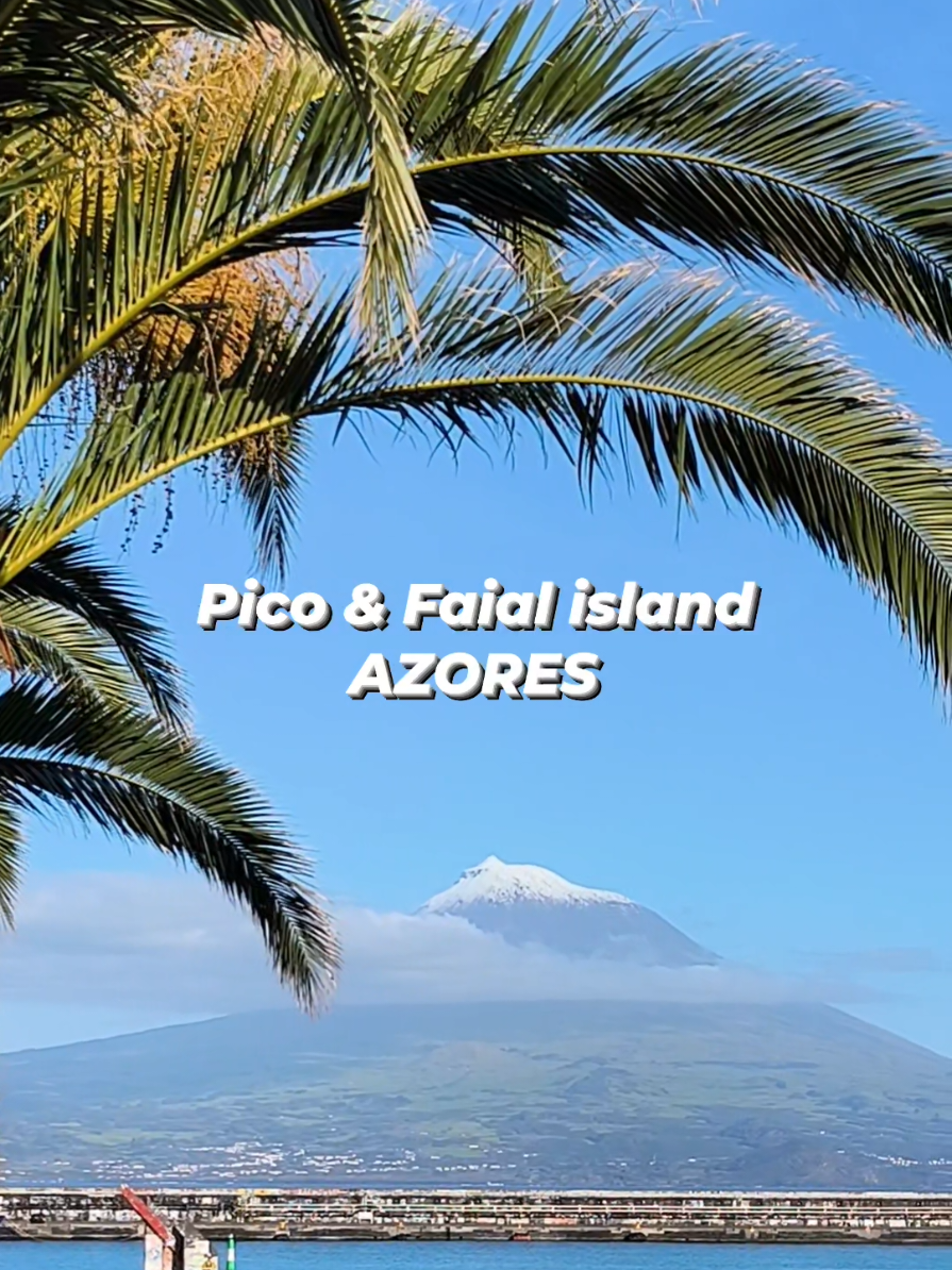 📍Madalena, Pico island & 📍Horta, Faial island & Mount Pico (2351 metres), Azores islands, Portugal 🇵🇹 March 2025 #picoisland #faialisland #açores #azores #visitazores 