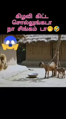 #socialmedia 