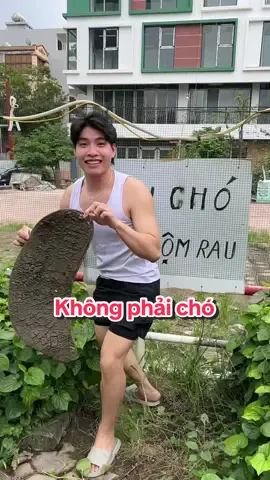 Không phải chó, hôm nay em Mạnh chôm thảm bẩn #cleanz #donnha 