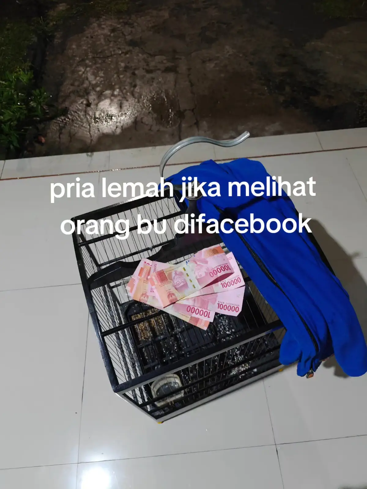 ra tego nek ono wong bu rasane pengen nulungi 😁 #fyp #wargafacebook #kicaumania #kicaumaniaindonesia 