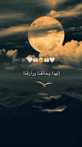 اللهم اغفر لحينا وميتنا وشاهدنا و غائبنا وصغيرنا و كبيرنا وذكرنا و أنثانا 
