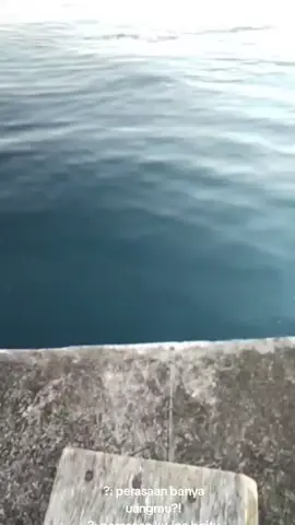 #fyppppppppppp 