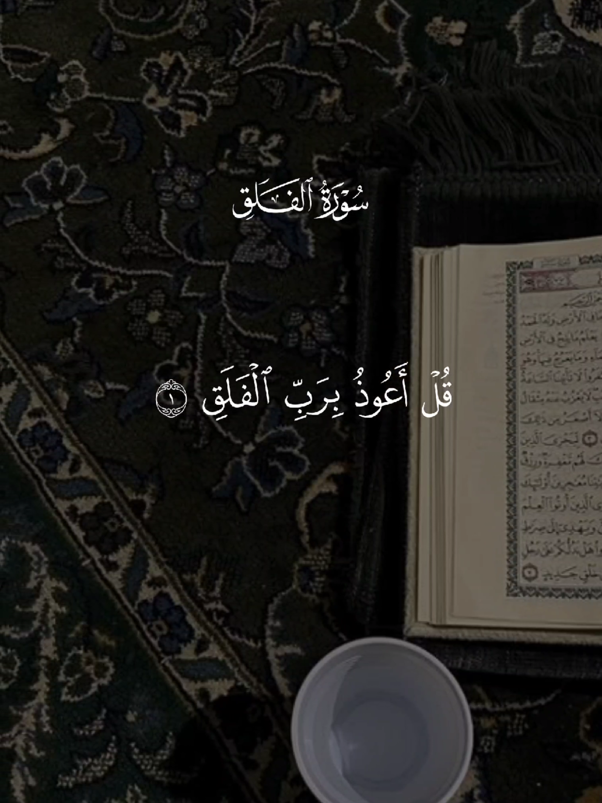 سورة الفلق 🤍 #قران #quran #قران_كريم #quran_alkarim #القران_الكريم 