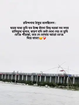 রবীন্দ্রনাথ ঠাকুর বলেছিলেন : 