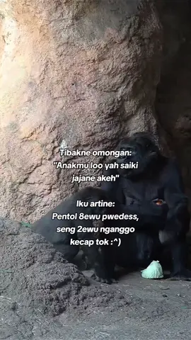 #fypp anak e dipitnah😪#katakata #sindiran #puitekchanel #gorilla 