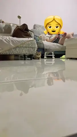 #cucbonggon