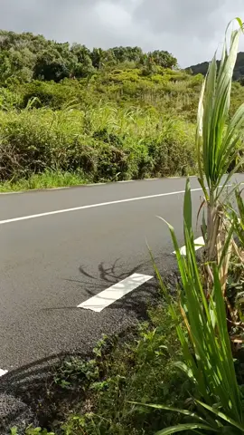 Zoli rally @Motor Racing Club #rallycar #rally #fyp #mauritius🇲🇺 #carshow 
