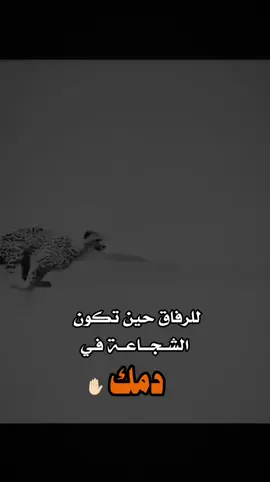 #اكسبلور #تصميم_فيديوهات🎶🎤🎬 #عبارات_جميلة_وقويه😉🖤 