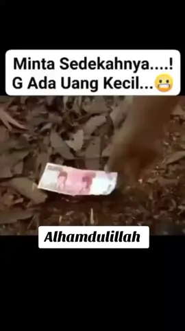 #allahhuakbar☝️🤲🤲🥺❤❤ 
