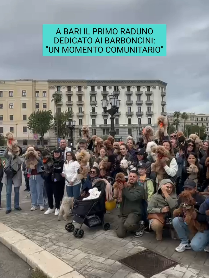 Dopo Roma, Napoli e Torino anche sul lungomare di Bari è arrivato il raduno dei Barboncini. In centinaia nonostante la pioggia e il vento si sono incontrati, fedelmente accompagnati dai loro cagnolini, rispondendo all’appello sui social della pagina ‘Nel mondo di Nano’. L’idea è stata lanciata da Giulia Originali, romana, attraverso degli appuntamenti gratuiti in cui questa razza di cani, il Barbone, chiamato comunemente Barboncino: “Un momento per stare insieme”   @nelmondodinano #barboncini #bari