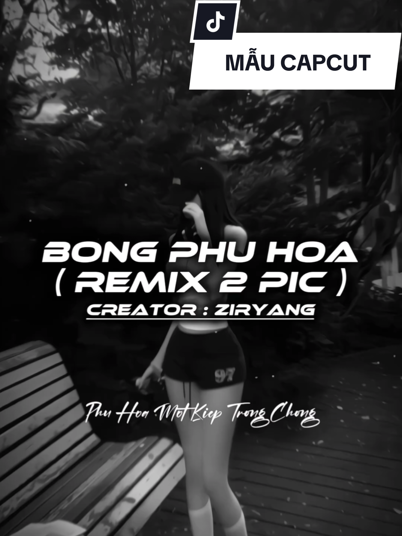 Bóng Phù Hoa Remix I Nhạc cuốn nè ... I BEAT 2 ẢNH REMIX - MẪU CAPCUT - Creator : ZirYang #xh #xuhuong #remix #nhachaymoingay #CapCut 