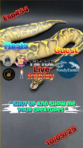 Full video now available on Jon’s creatures YouTube channel check out!!! @FondyExotics @BigDogExotics @A and J exotics @🐍 Texoma Exotics 🐍 @KeeperCain @hi its me @@peskypaws @rescue reptile @rhondamoore5860 #animals #foryoupage #pets #friends 