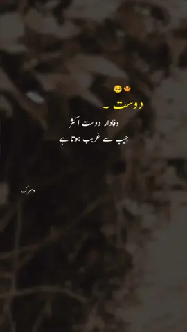 Dost 🥺🍁 #ibnewasrik613 #viral #foryou #foryoupagе #fyp 