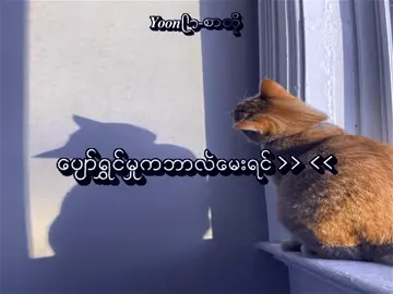 မန်းရှင်းခေါ်လို့ရပြီ🤍 ...။ . . . . #mayyoonhtet_2006 #စာတို💯 #tiktokmyanmar🇲🇲 #fypシ #foryoupage @TikTok 