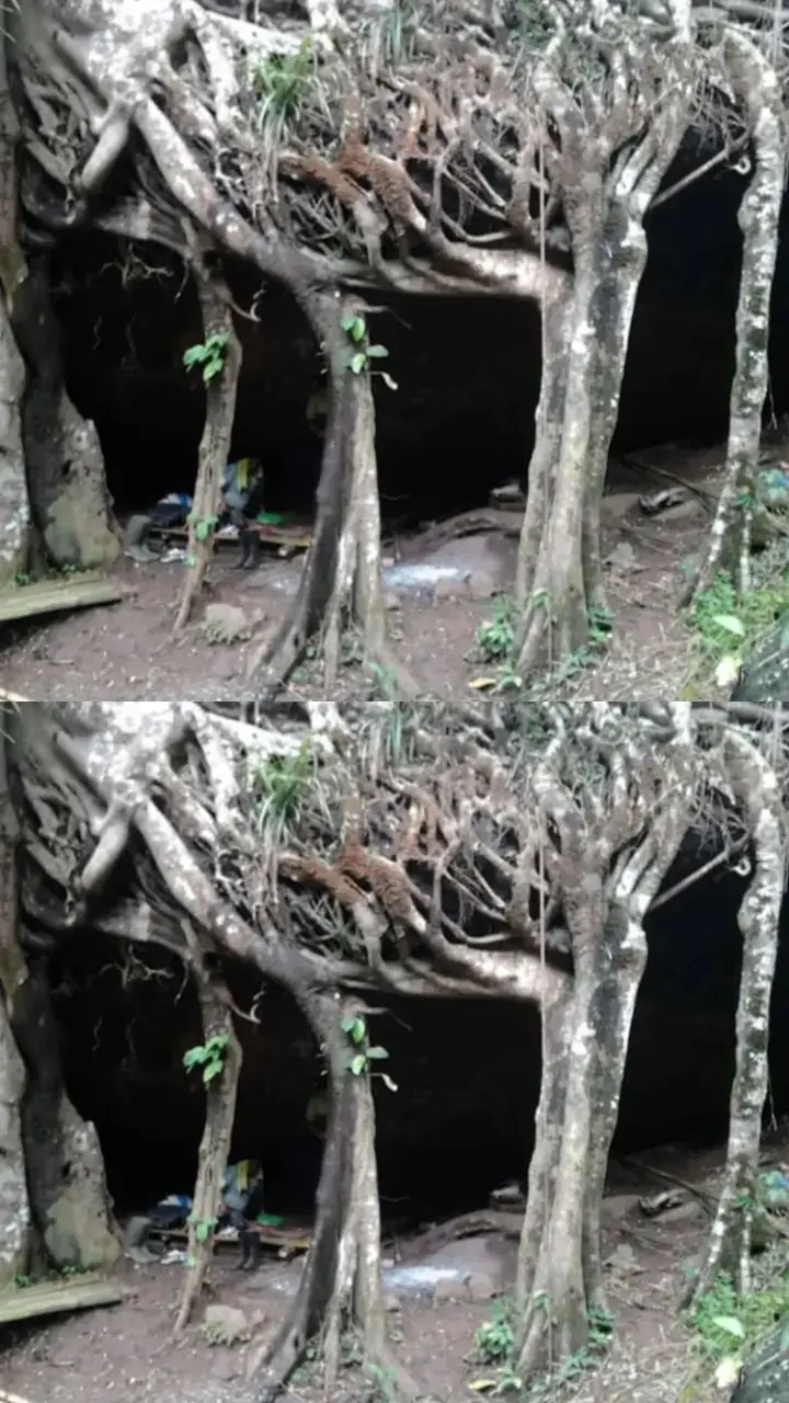 ke istimewahan kayu iksir #cermahabuyaci #abuyauciturtusicilongok #fypppppppppppppppppppppppp 