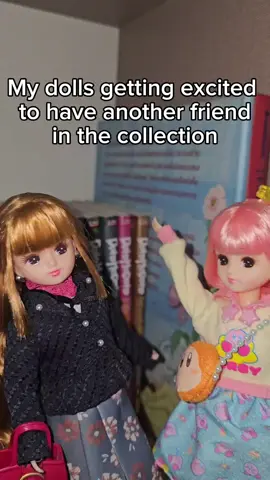 imagine the struggle  #dolls #bara #liccachan #actionfigures #dollscollector 