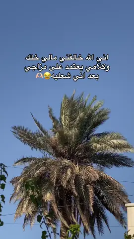 الله خالقني هيج اني شعليه😂🫶🏻#صعدو_الفيديو #تعليقاتكم_الحلوه_حتئ_استمر #شعب_الصيني_ماله_حل😂😂 