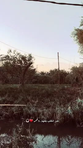٣:٠٧م. #تصويري📷 #fyp #هاشتاك #عود_عراقي #صعدو_الفيديو_حته_استمر 