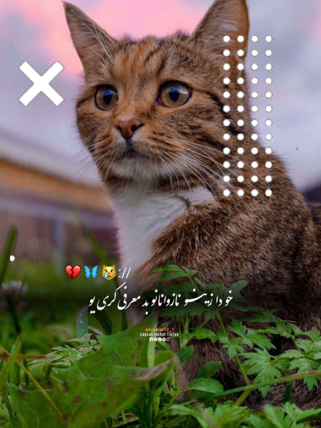 #CapCut هو قربان✋❤ #تمپلیت_جدید  #رپ_پشتو_رپ_فارسی_اهنگ_افغانی_اهنگ_پشتو_اهنگ_فارسی_اهنگ_عاشقانه  #creatorsearchinsights  #oo__3salar_afg 