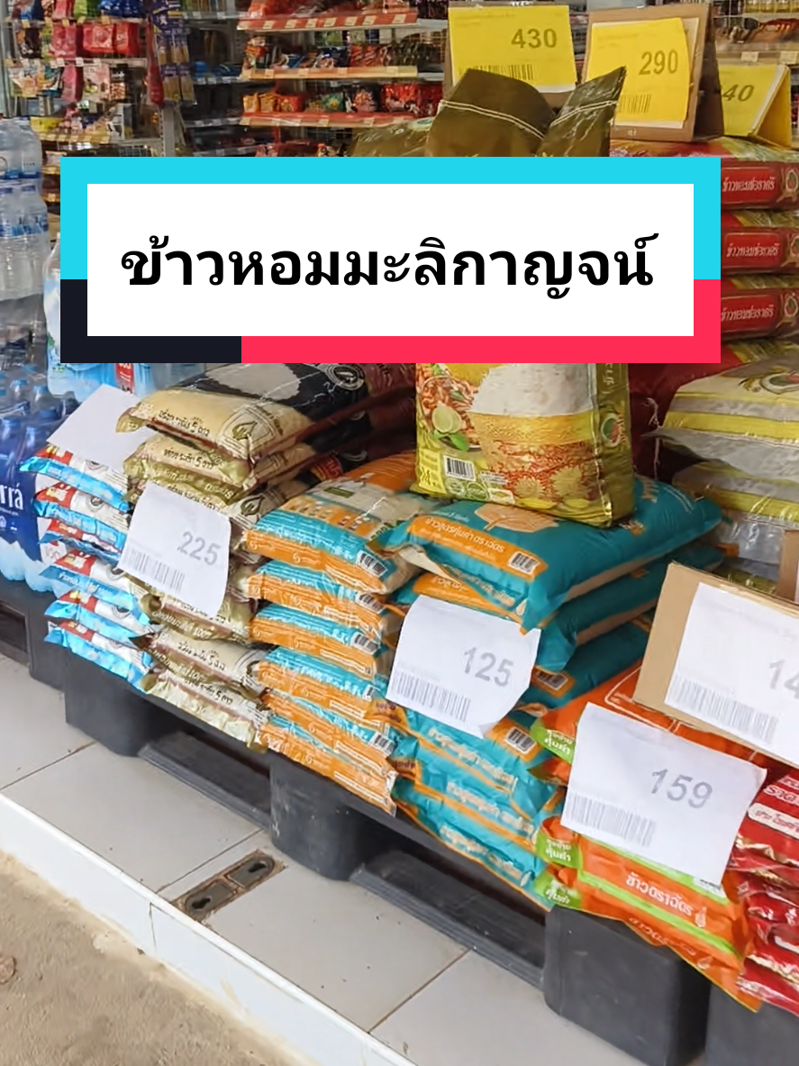 ข้าวหอมมะลิ14กก. #ข้าวหอม #ข้าวหอมมะลิ #ข้าวสาร #ข้าว #tiktokshop1010ยกทัพแบรนด์แท้  @ถูกดีร้านยายหนิว  @ถูกดีร้านยายหนิว 