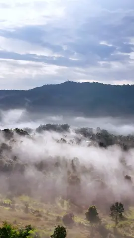 ဒီလိုအလှတရားတွေခံစားနိုင်မှ တောင်ပေါ်လာခဲ့ပါ 🍂 #shan #myanmartiktok🇲🇲🇲🇲 #fyp #nature #foryoupage 