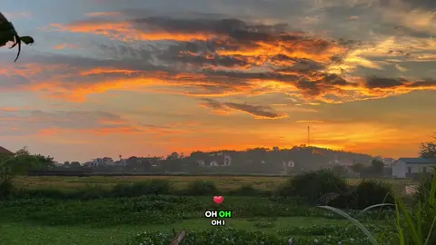 #CapCut chill with me #xh #hoanghon #fyp 