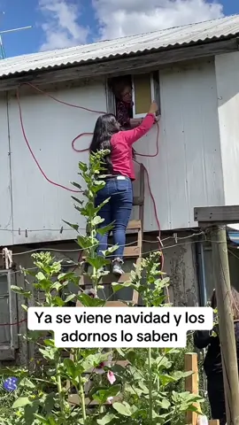 Se viene navidad 🎄 