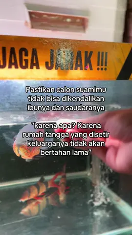 #fyppppppppppppppppppppppp #masukberanda 