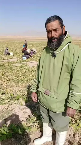 دقیـقاً 👏 قبل از اینکه مسئولان از مردم بخوان صبر کنن، باید خودشون مزه‌ی واقعی سختی و گرونی رو بچشن! مردم دیگه از شعار و وعده خسته شدن، عمل می‌خوان نه حرف. #پزشکیان #تورم #گرانی #دلار #اقتصاد  