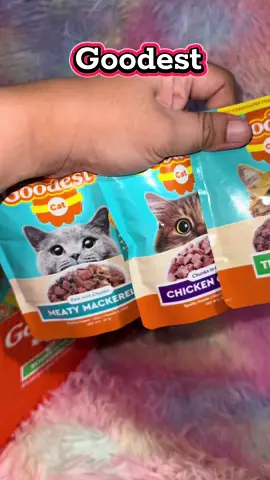 12 packs Goodest Multi Variant Wet Cat Food 85g #goodestcat #catfood #catessentials #wetcatfood #goodestmultivariantwetcatfood 